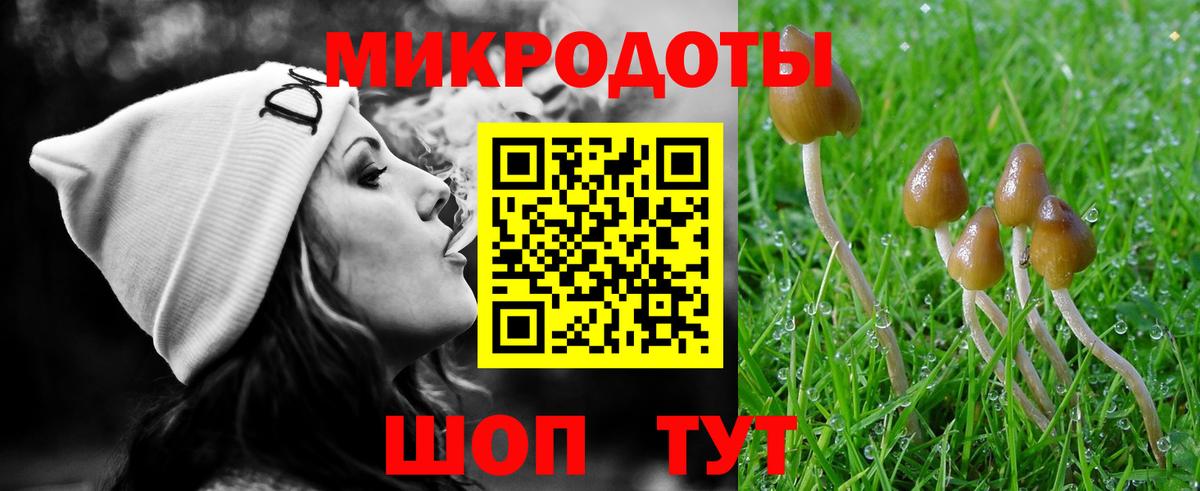 Псилоцибиновые грибы Psilocybine cubensis Краснокаменск