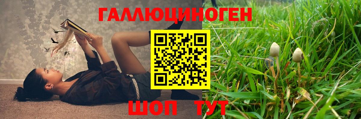Галлюциногенные грибы Psilocybine cubensis  Галлюциногенные грибы мицелий  Вход с VPN  Краснокаменск 