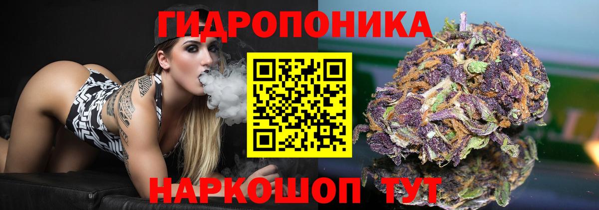 Марихуана Amnesia  Вход с VPN  Бошки Шишки марихуана  Конопля планчик  Краснокаменск  Марихуана гибрид 